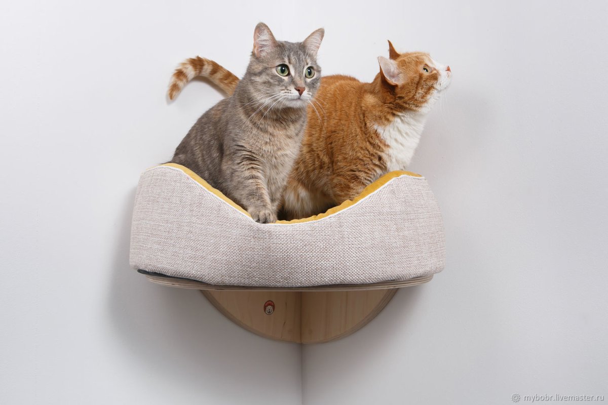 Мягкие лежанки для кошек
