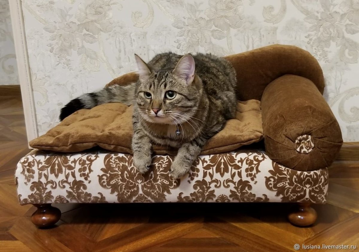 Кошачий диван