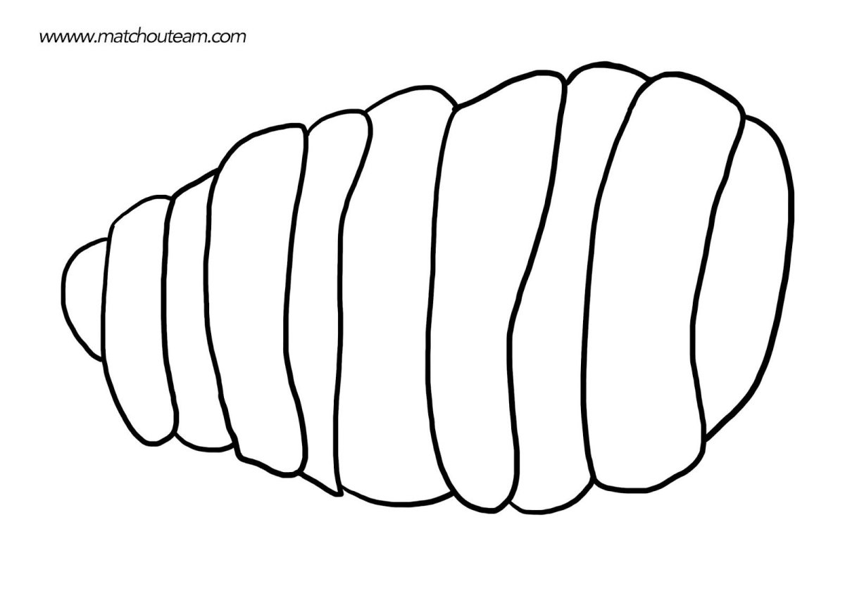 Осиное гнездо
