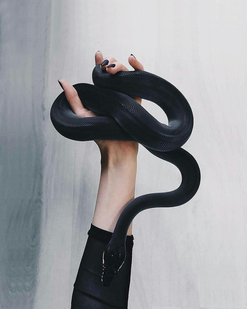 Змея на руке