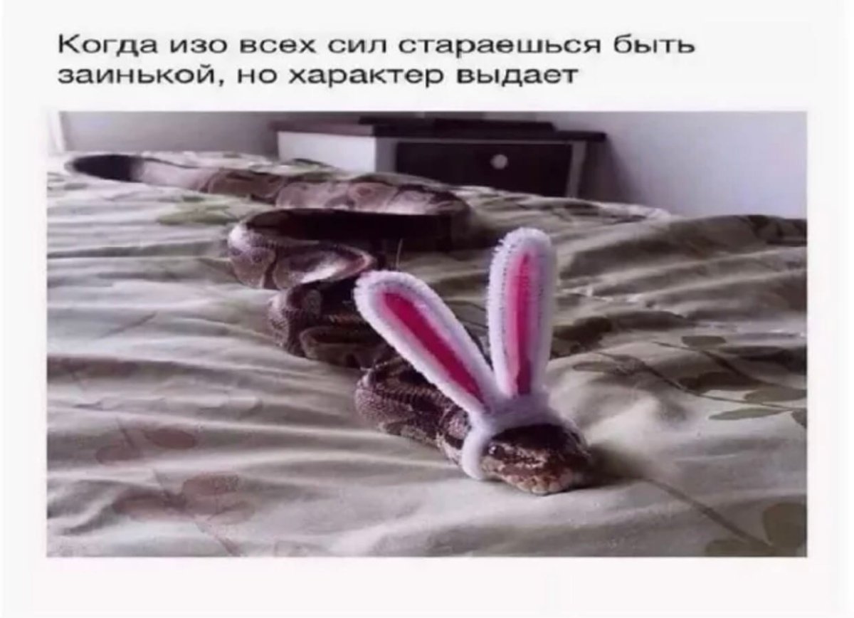 Змея с заячьими ушками