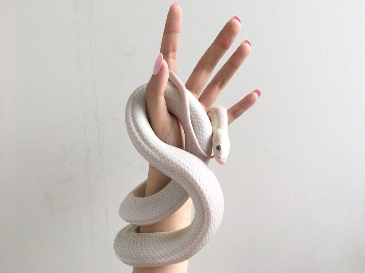 Девушка в маске зайца