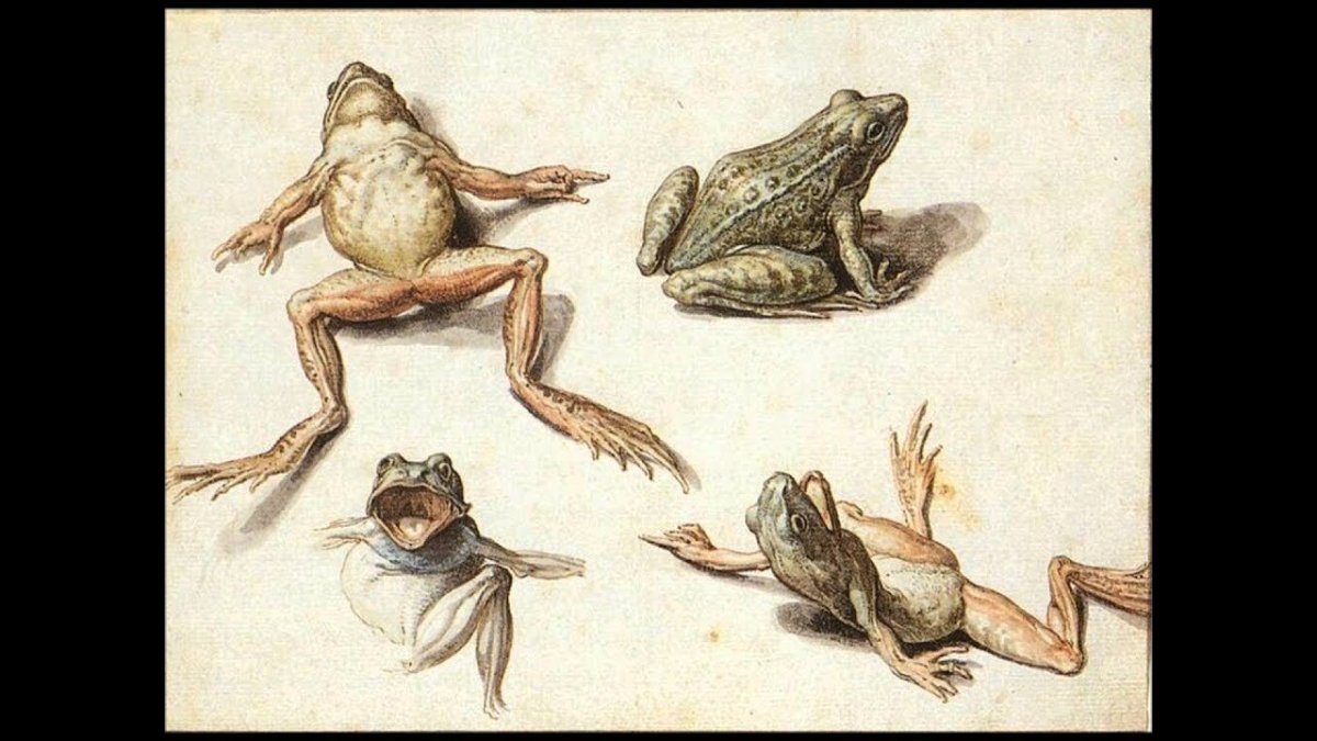 Якоб де Гейн младший