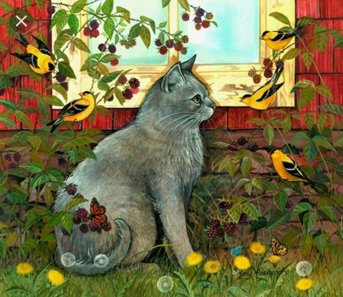 Кошка осень фэнтези