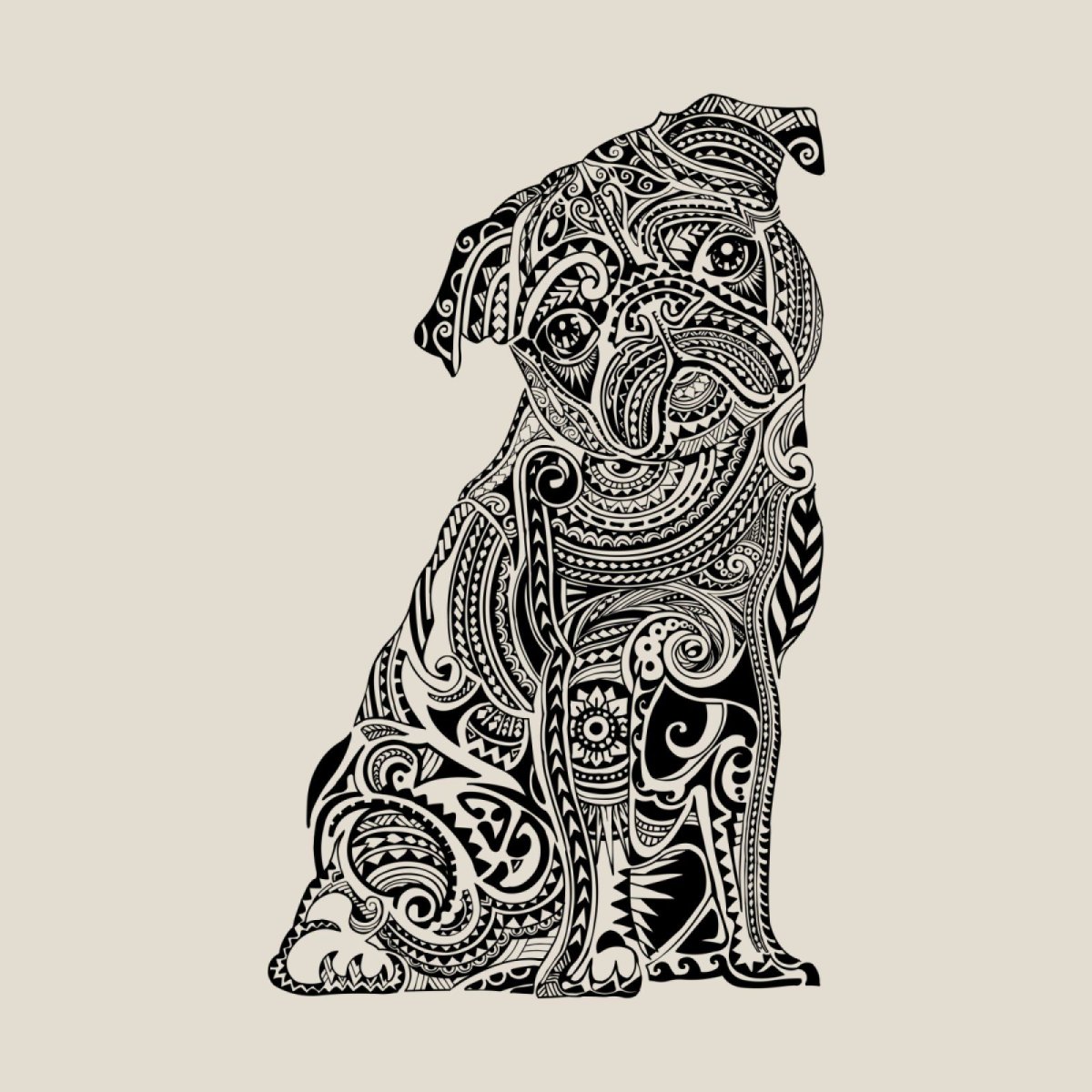 Балинезийская кошка белая