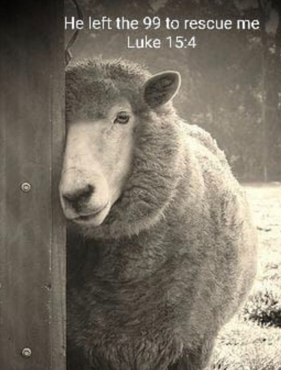 Карикатуры про Баранов