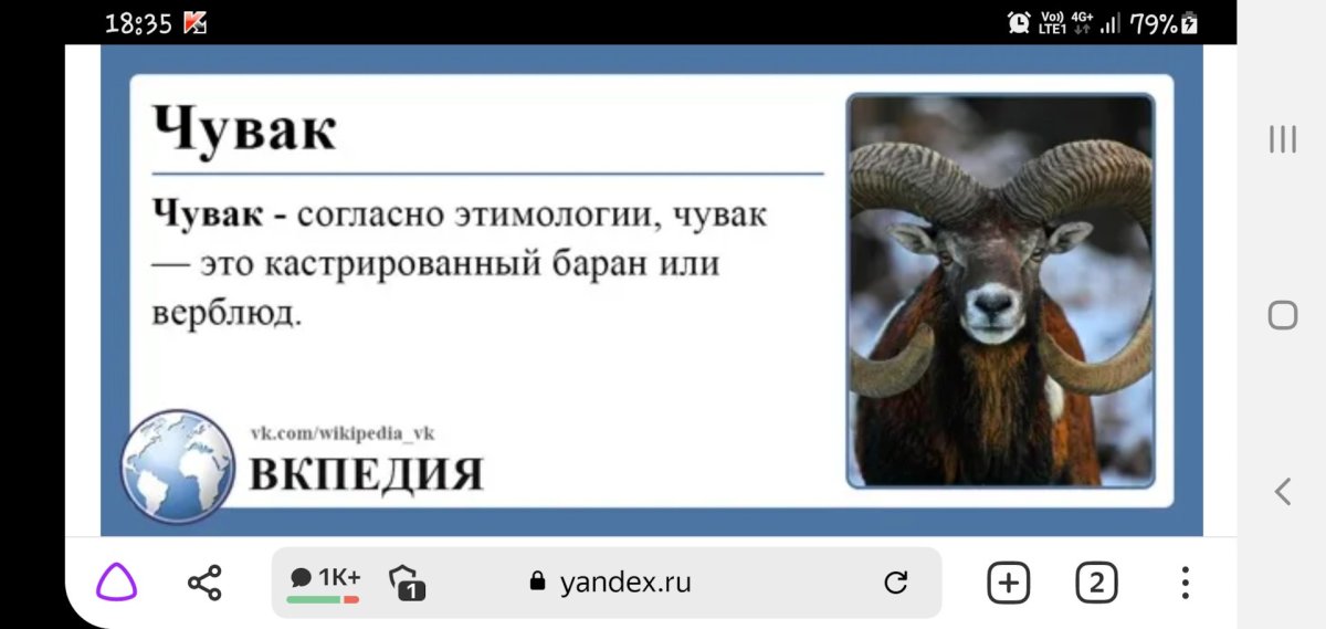 Барашек бодается