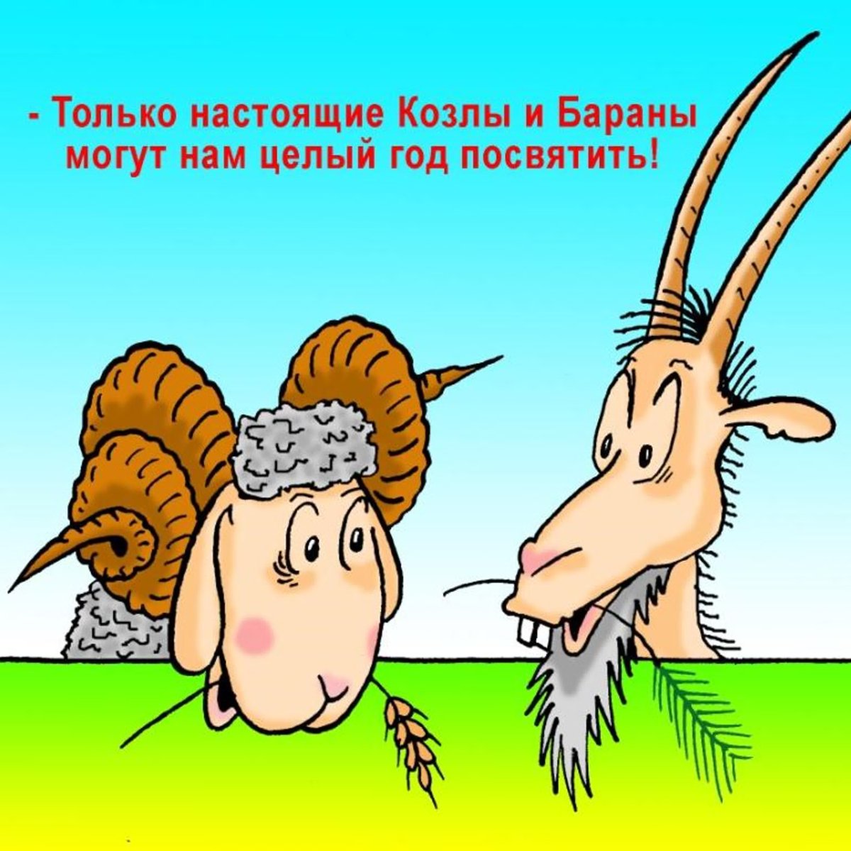 Баран уперся рогами