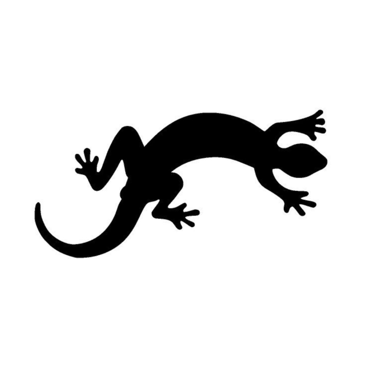 Саламандра и геккон