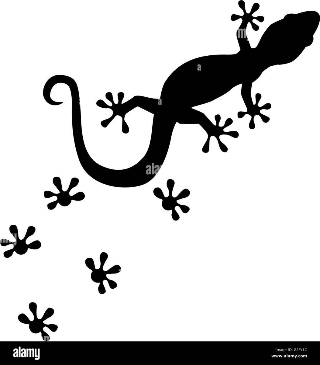 Ящерки на окне