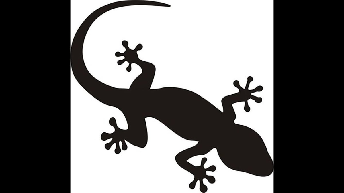 Золотая саламандра