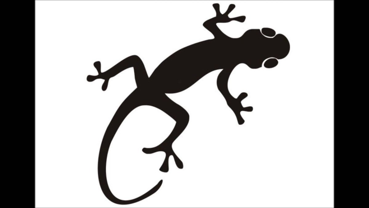 Рогатый хамелеон Джексона