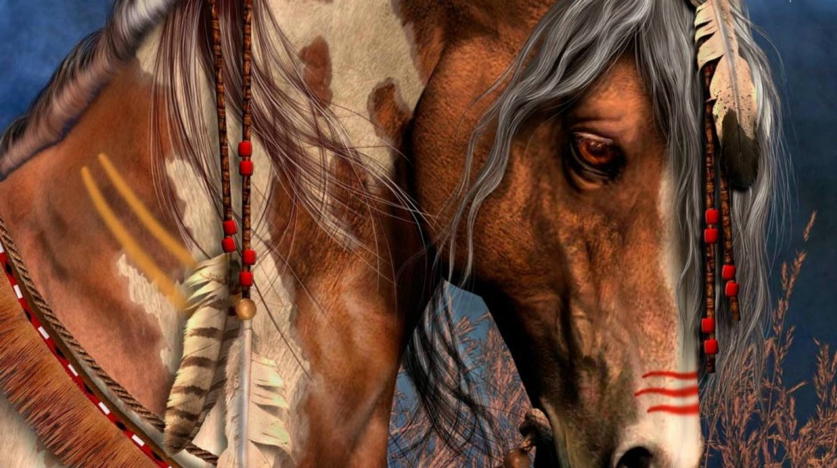 Племя Навахо на лошади