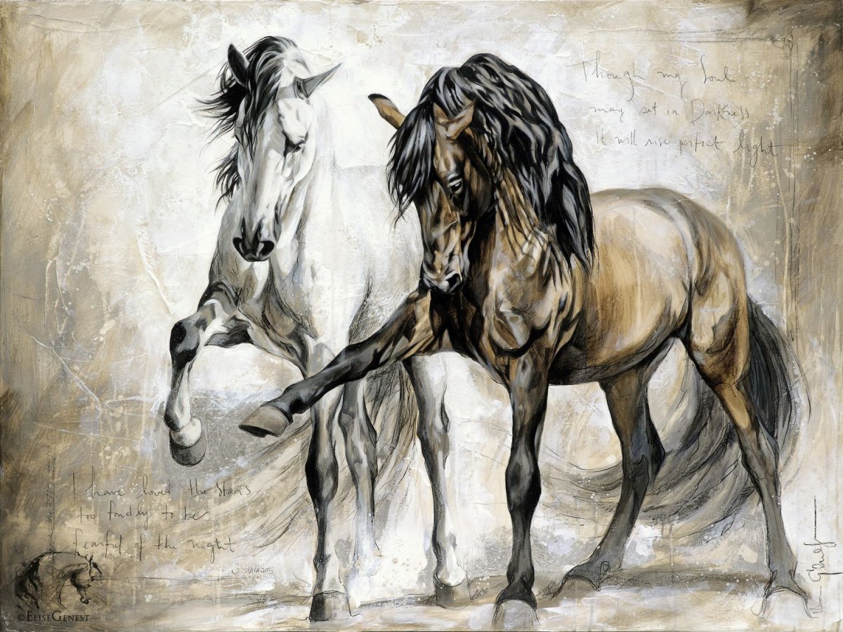 Лошади Elise Genest