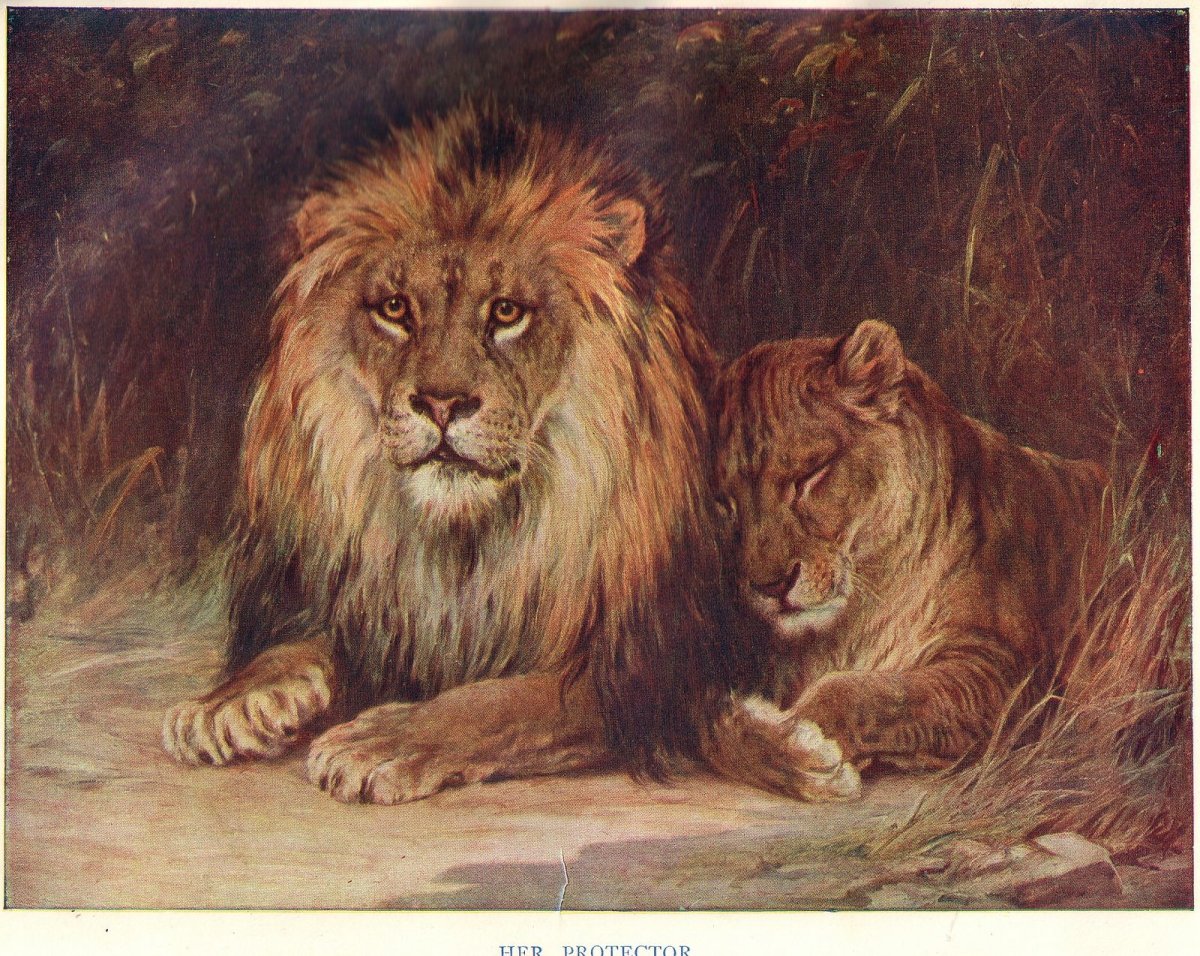 Лев и лошадь картинки