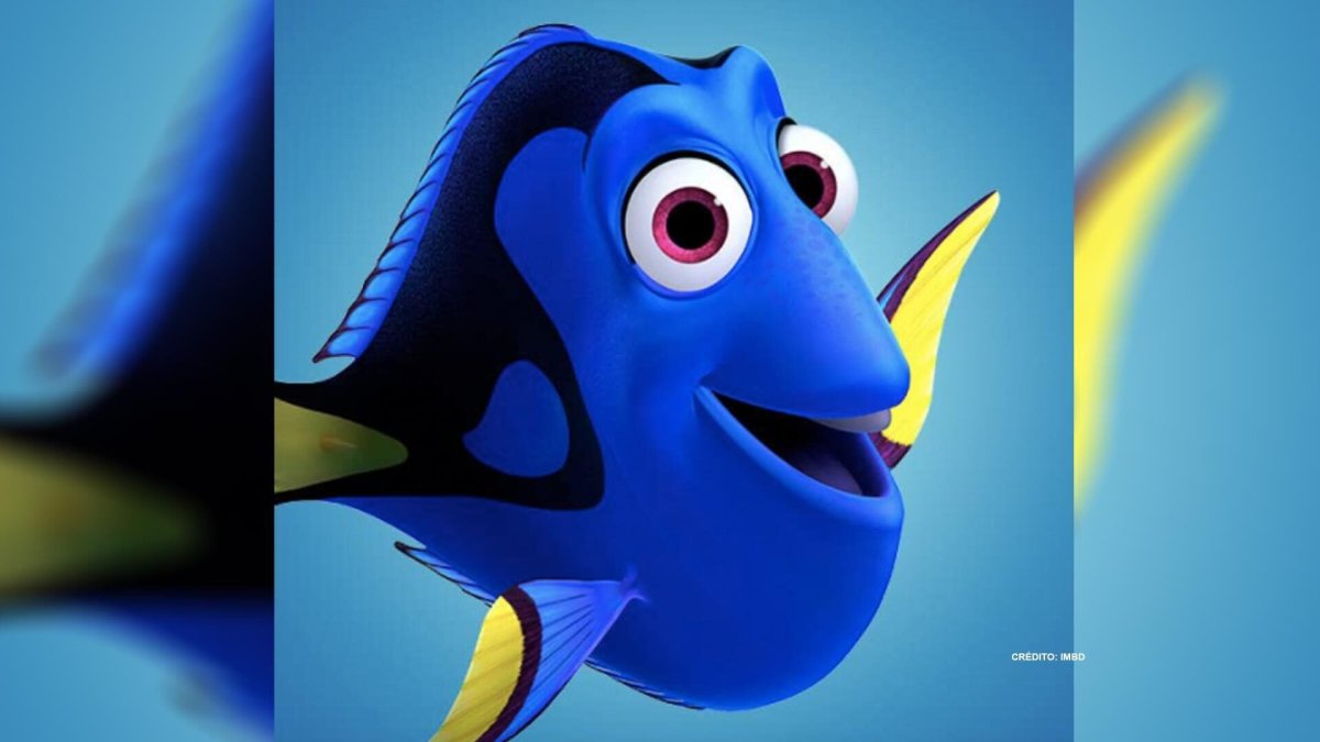 Рыбка Мандаринка