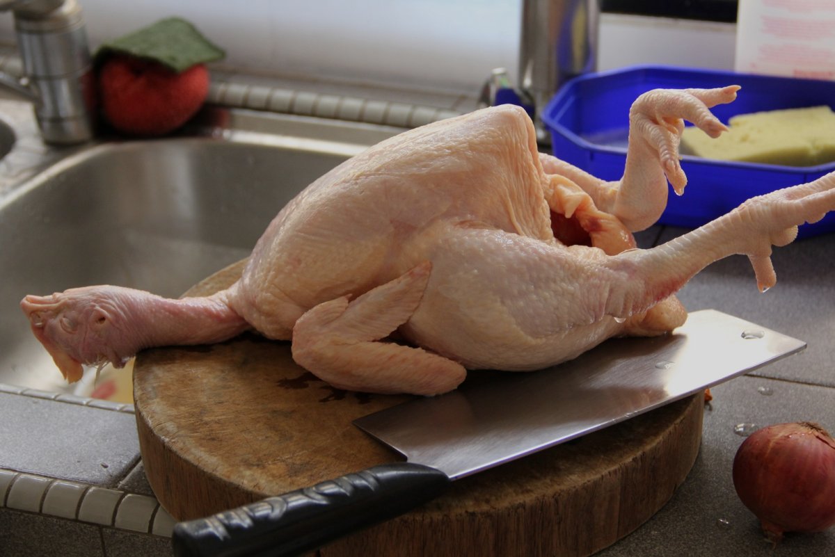 Скелет курицы