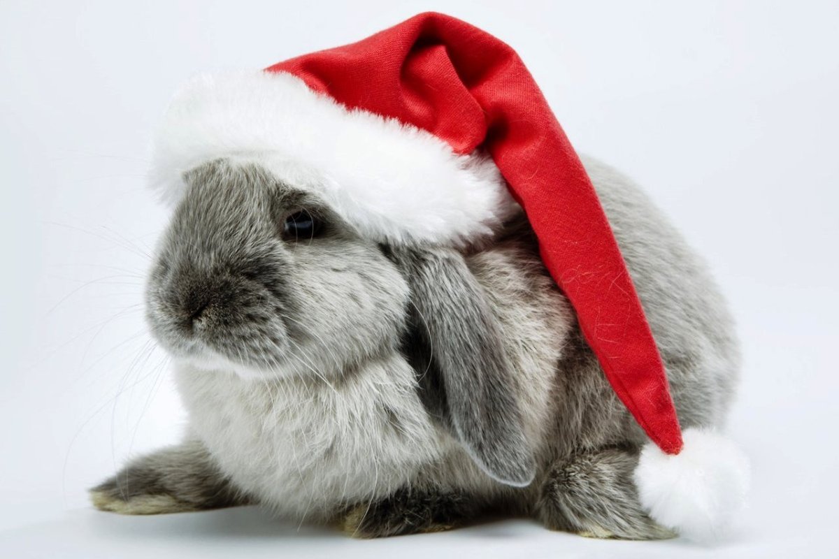 Милые и классные и красивые игрушки