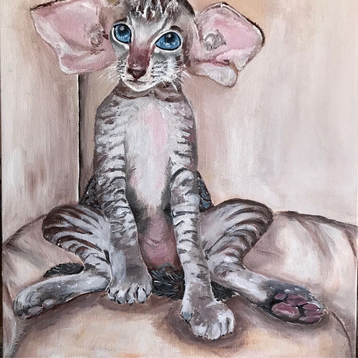 Кот похожий на Добби