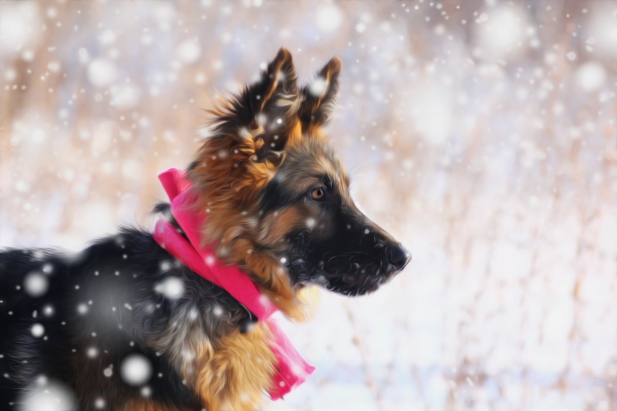 Немецкая овчарка со щенками на природе