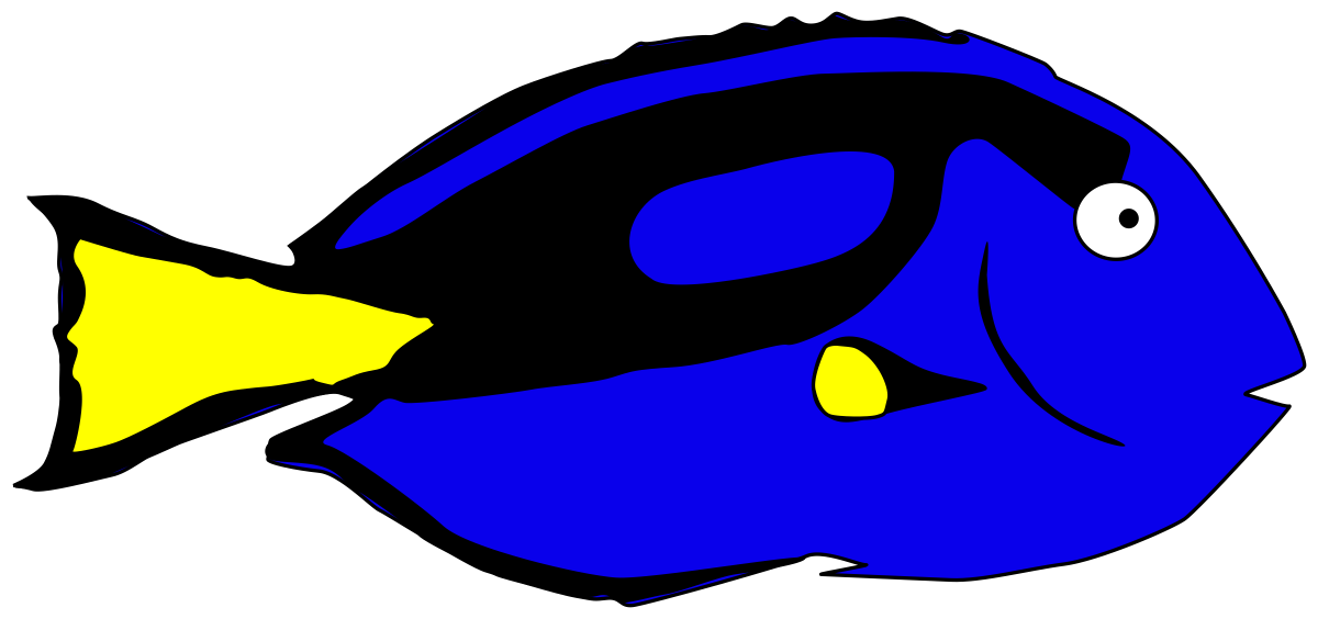 Рыба-хирург на прозрачном фоне