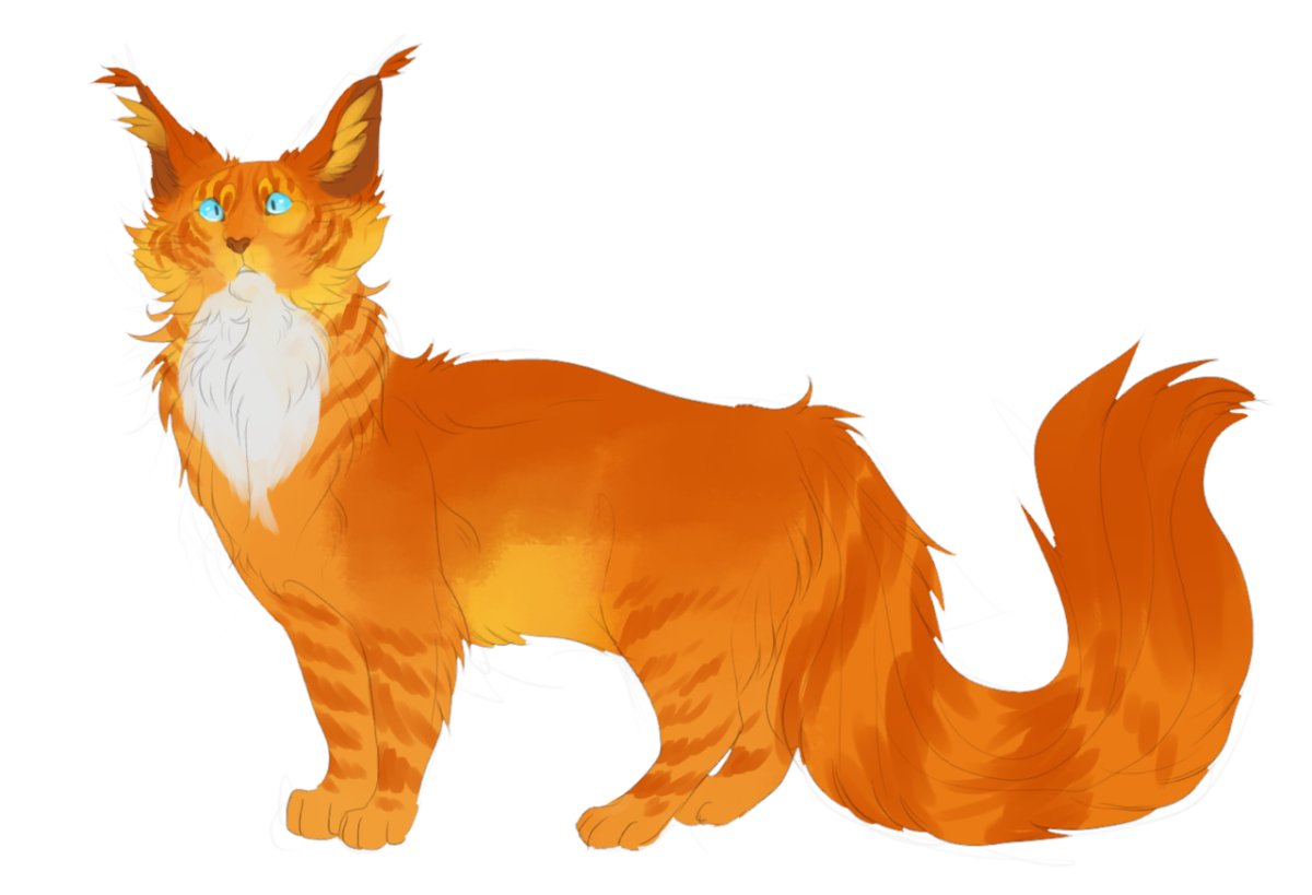 Коты Воители Огнехвост арт