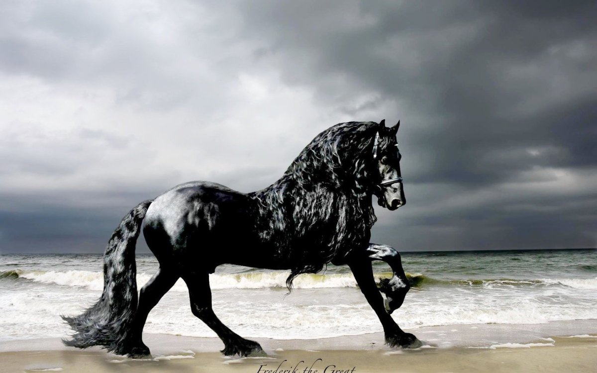 Лошади породы Шайр