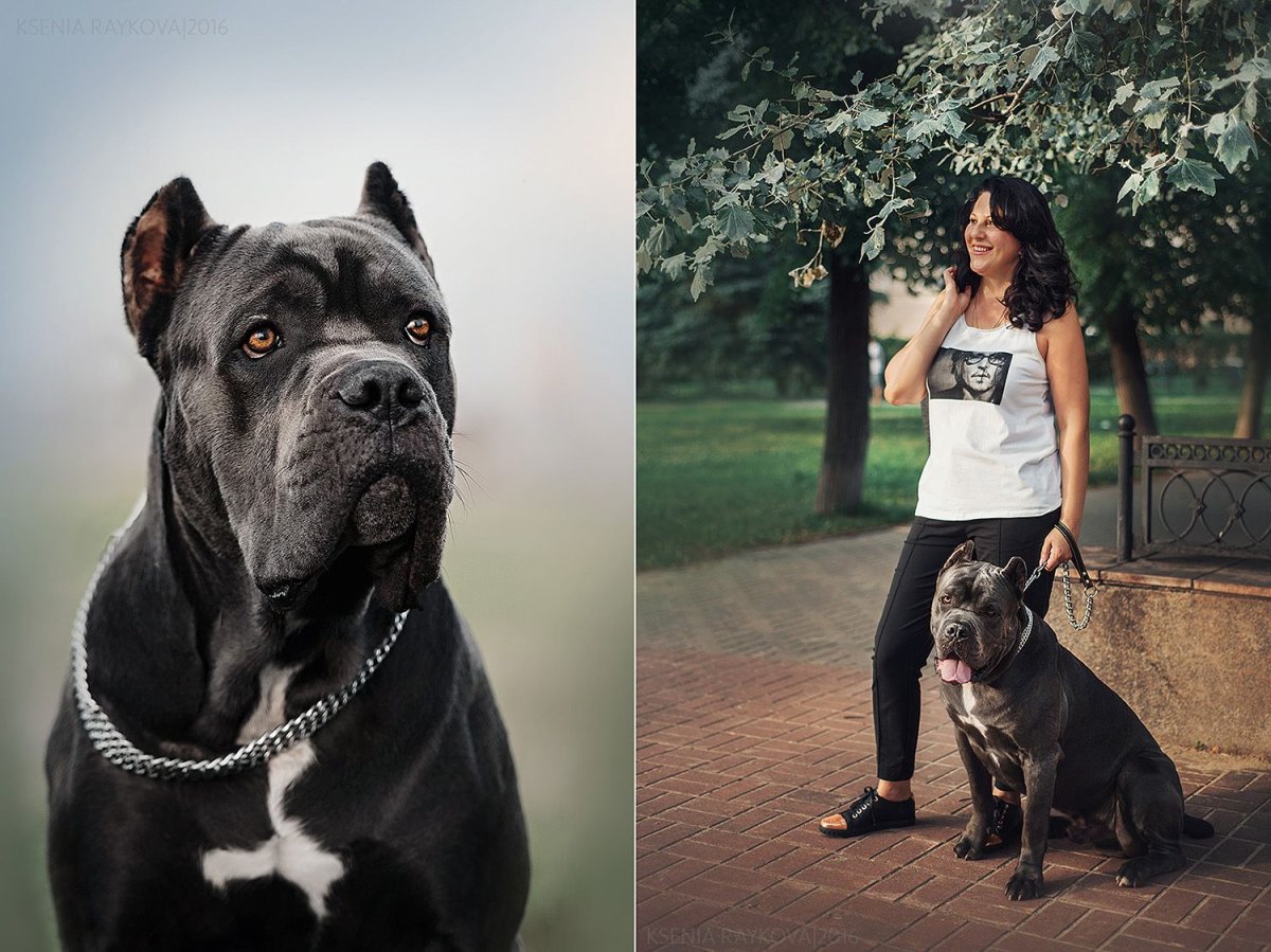 Наталья Вашингтон Кане Корсо