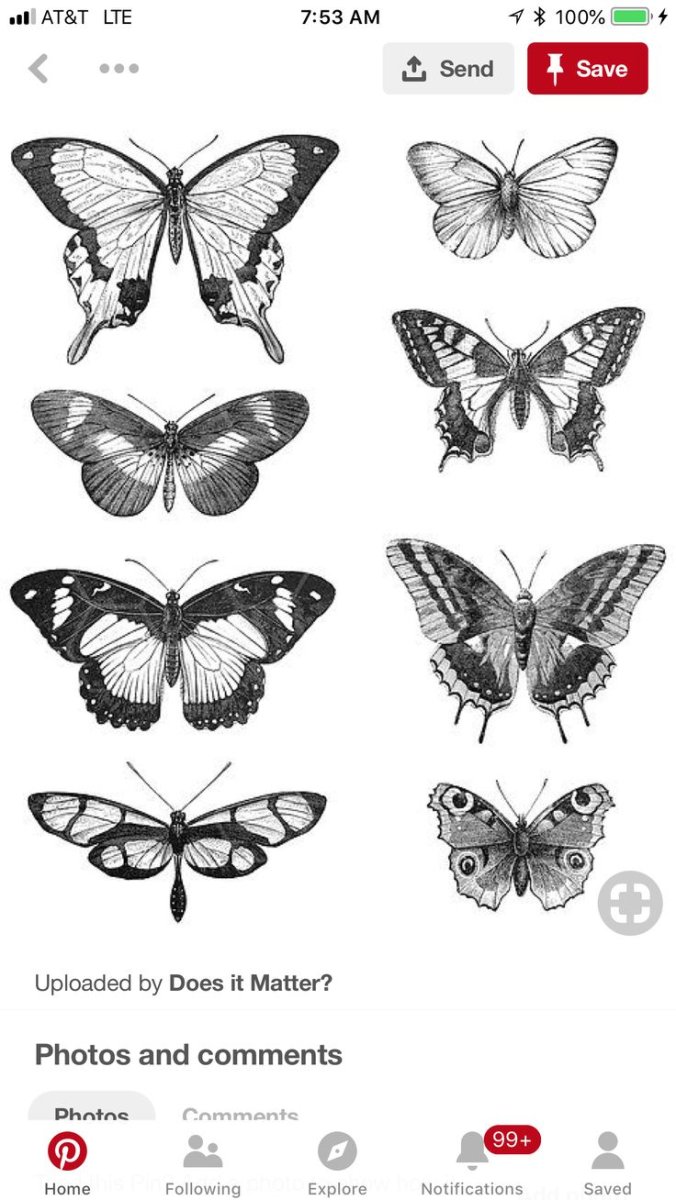 Много бабочек эскиз