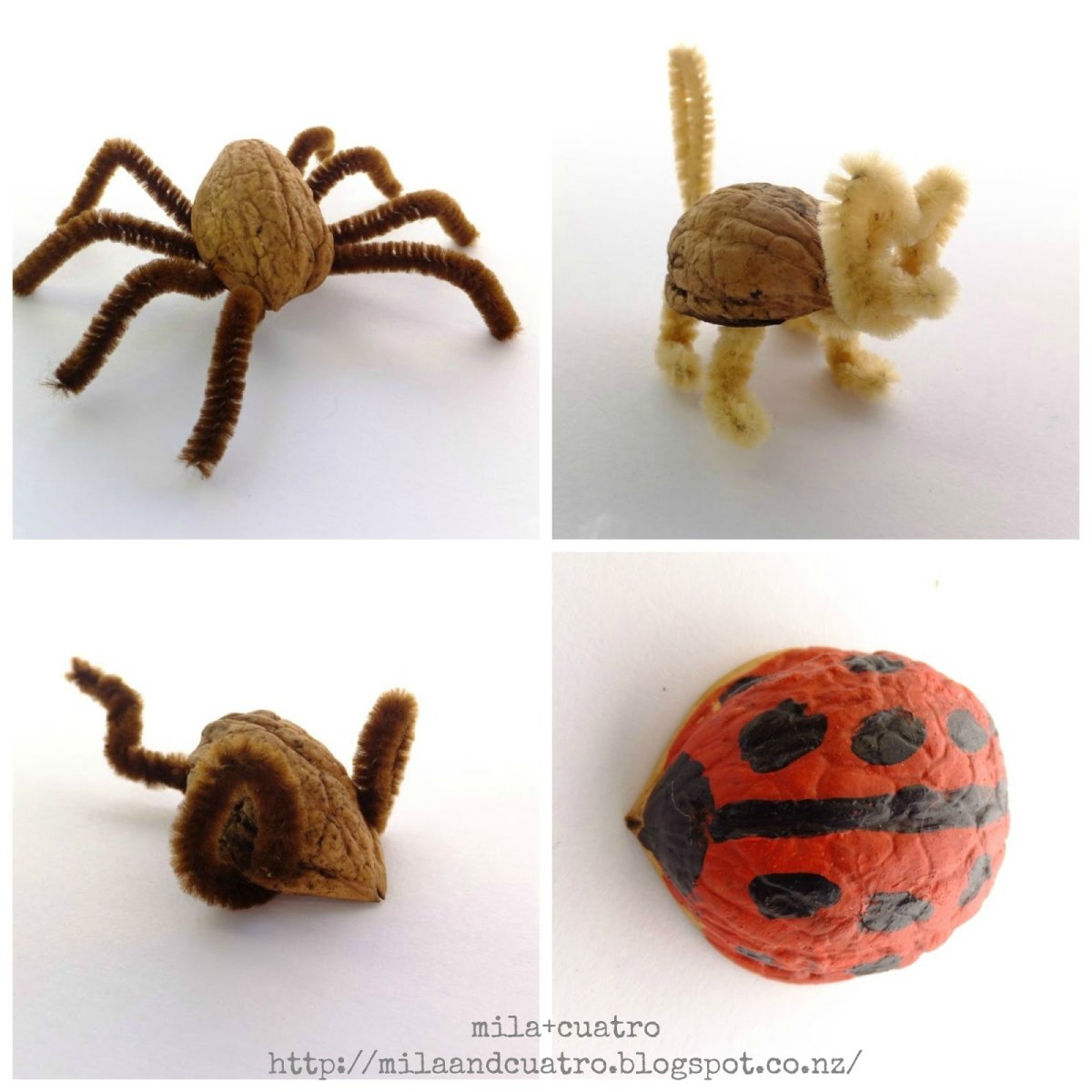 Точильщик Жук мучной Жук