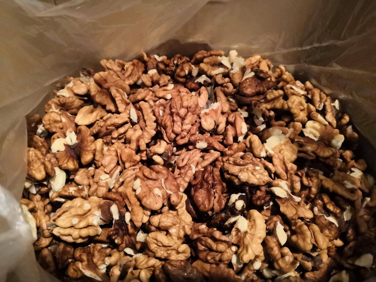 Личинки моли в грецких орехах