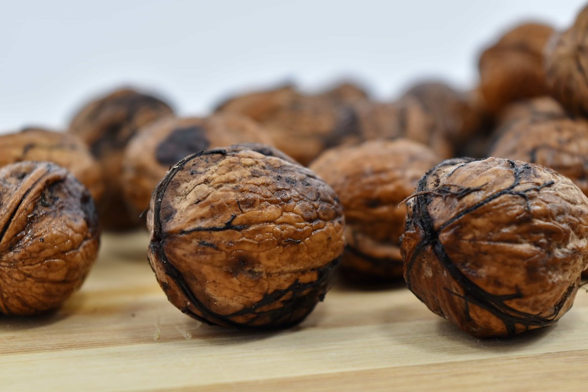 Карповый Жук