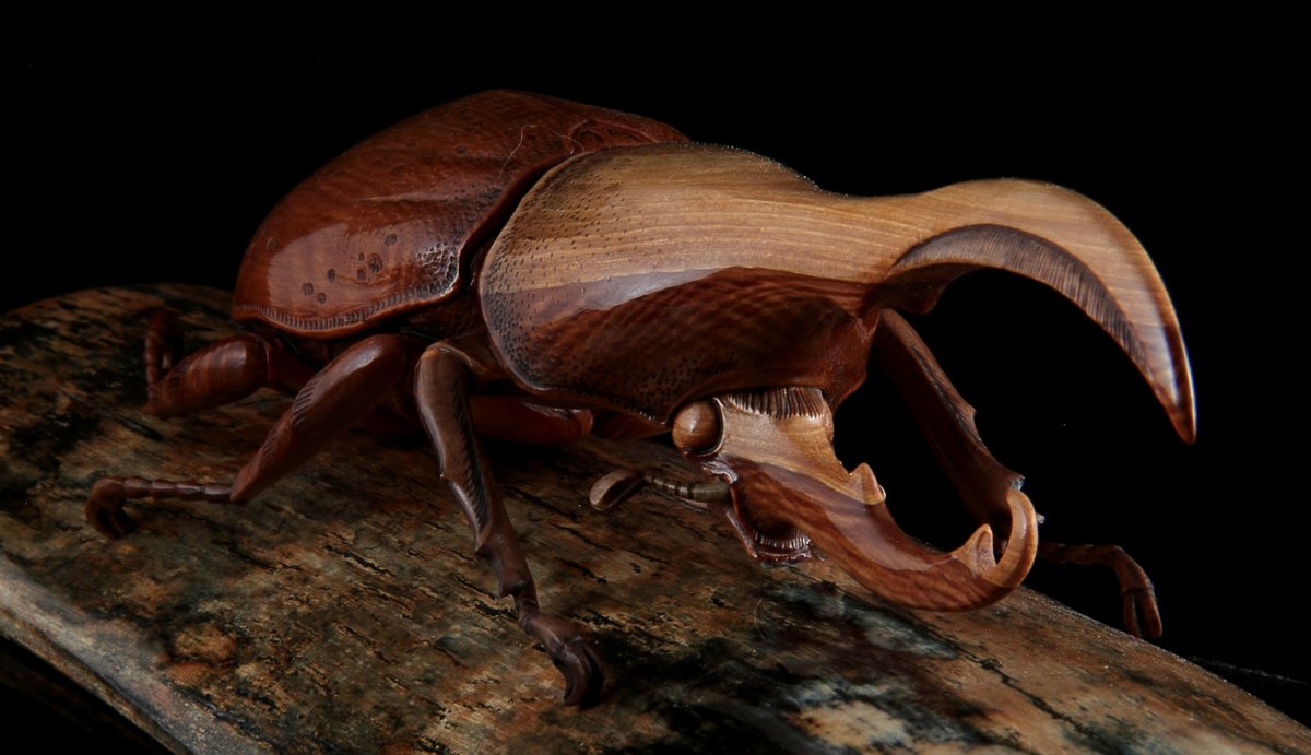 Ямка муравьиный Лев