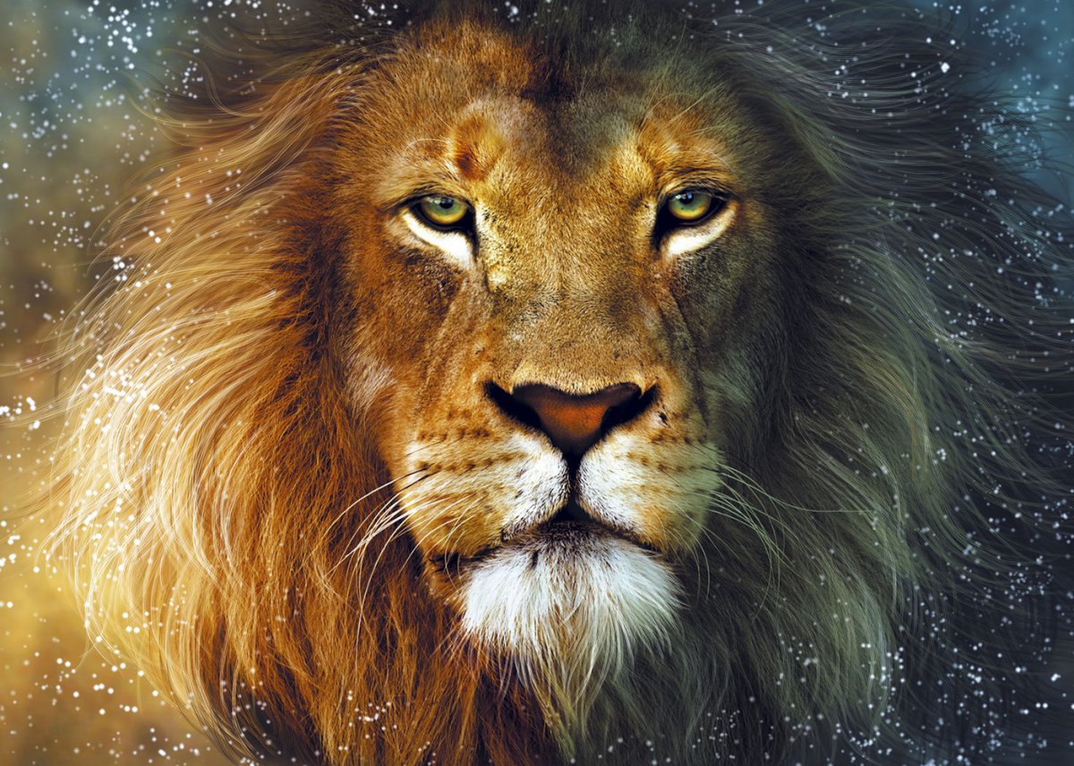 Леопард в траве