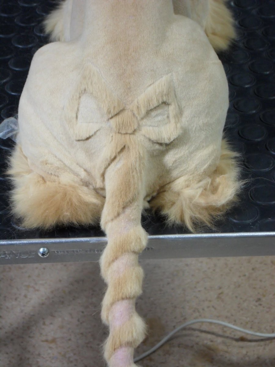 Стрижка кошек