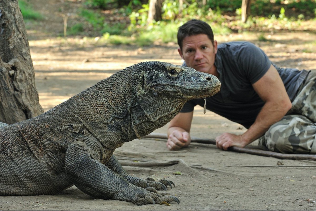 Гигантский австралийский Варан (МЕГАЛАНИЯ)