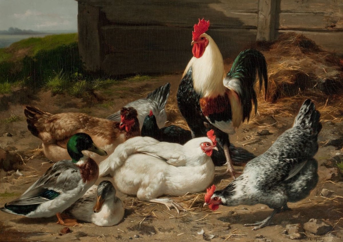 Домашние животные летом