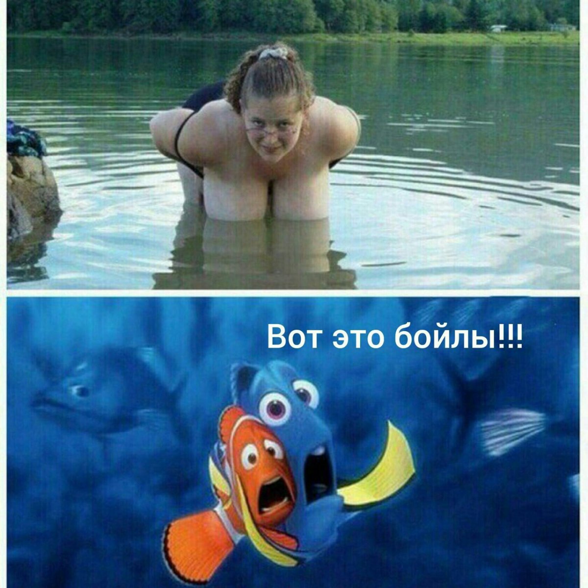 Рыба для срисовки