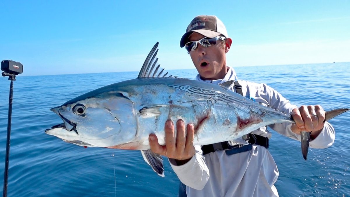 Giant Trevally Fish