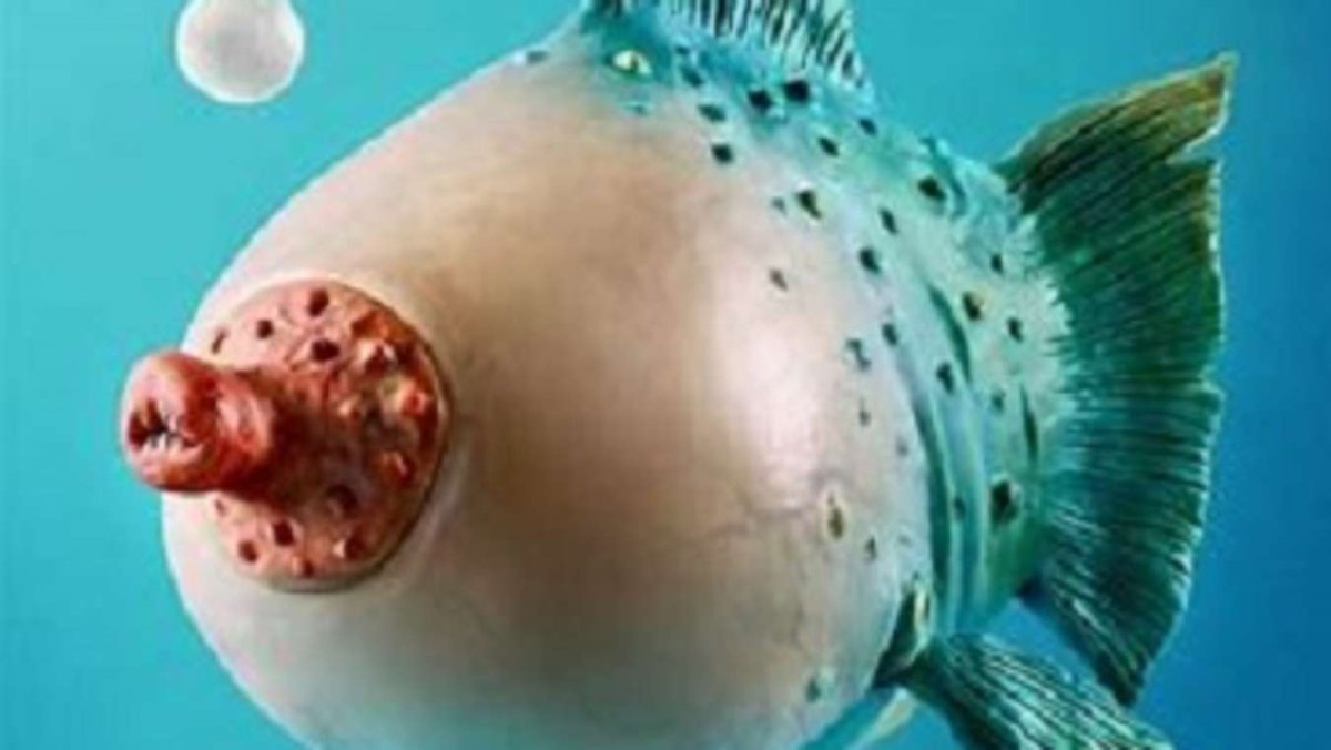 Мужчина лещ