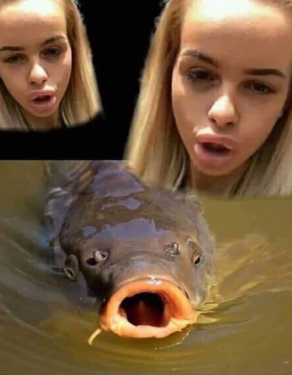 Морепродукты названия