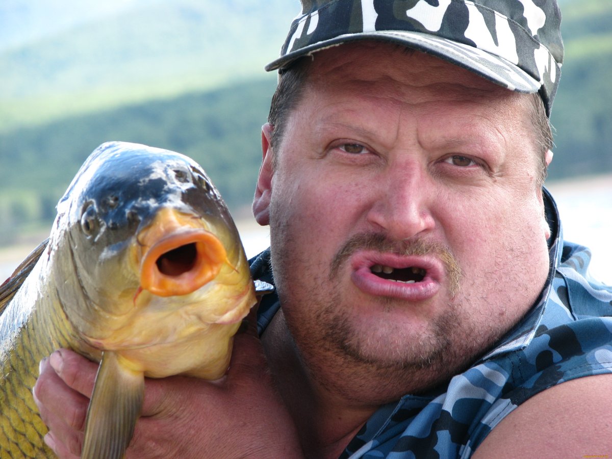 Щука на рабочий стол