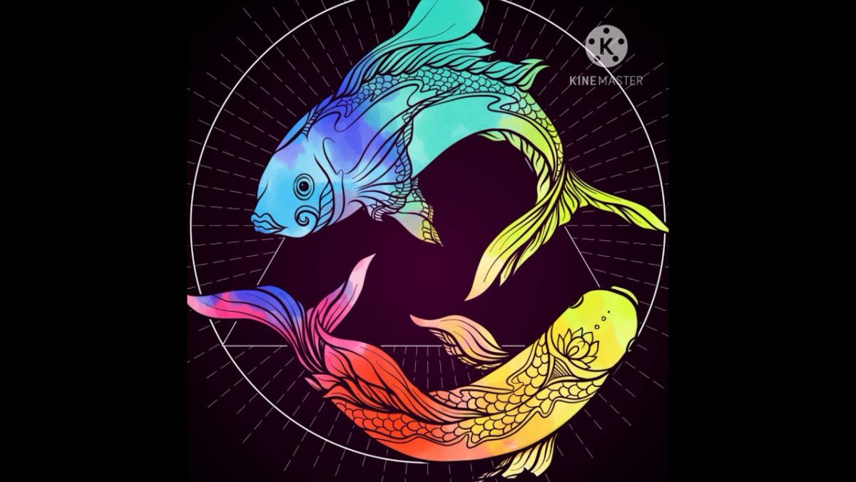 Африканская тигровая рыба