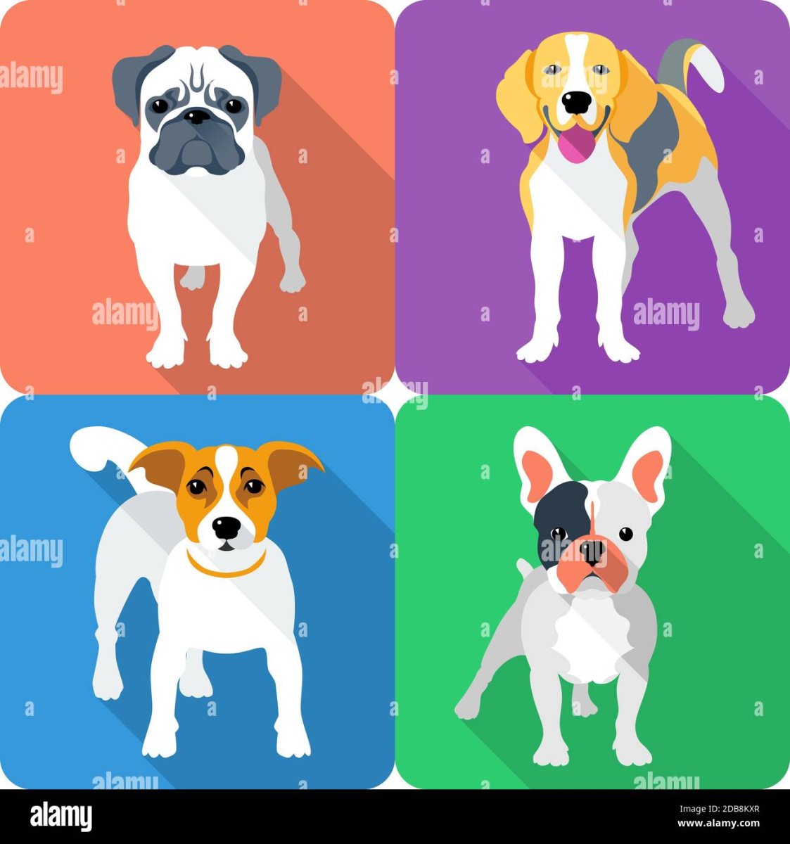 Ё потомство бульдогов