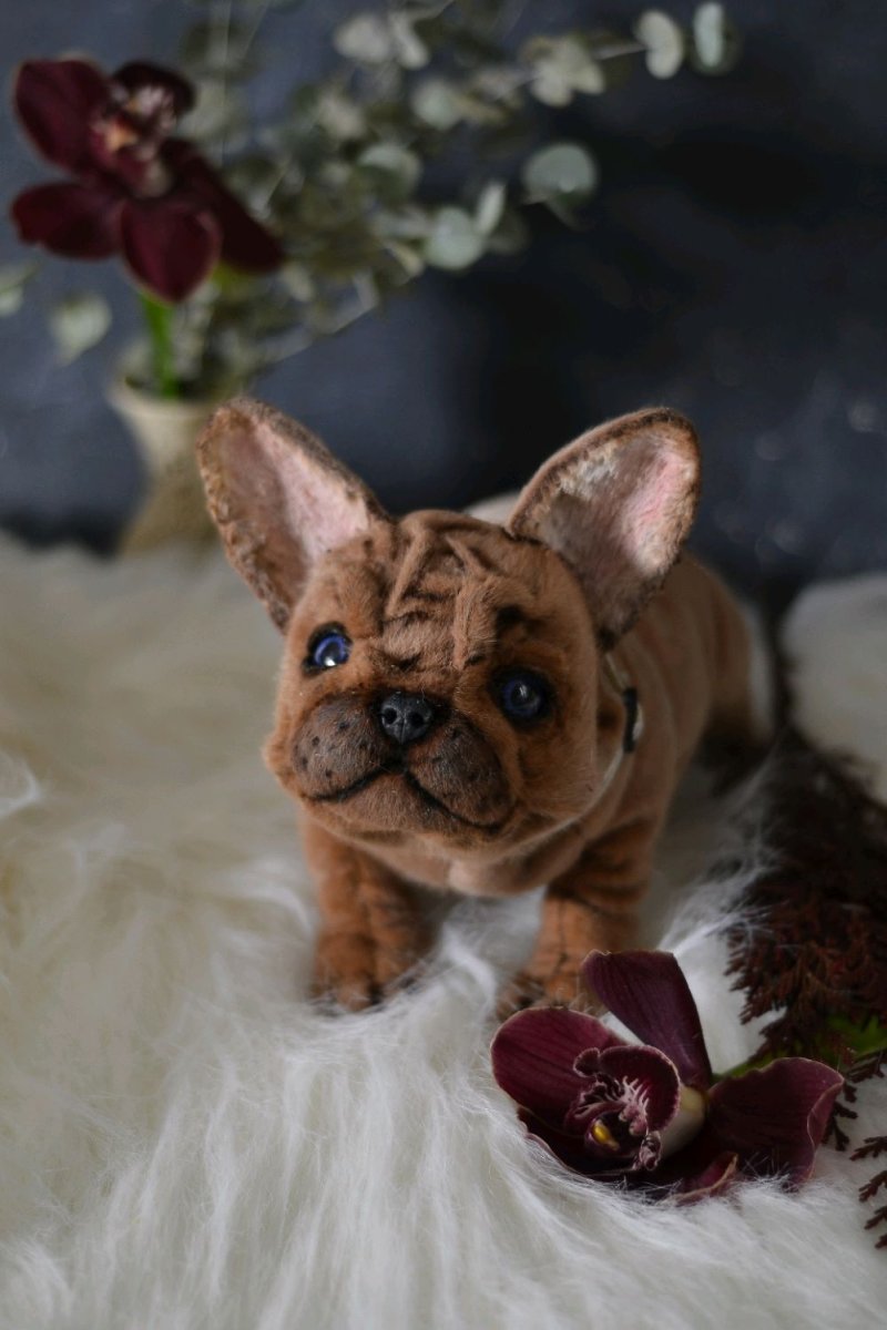 Бигль в комбинезоне