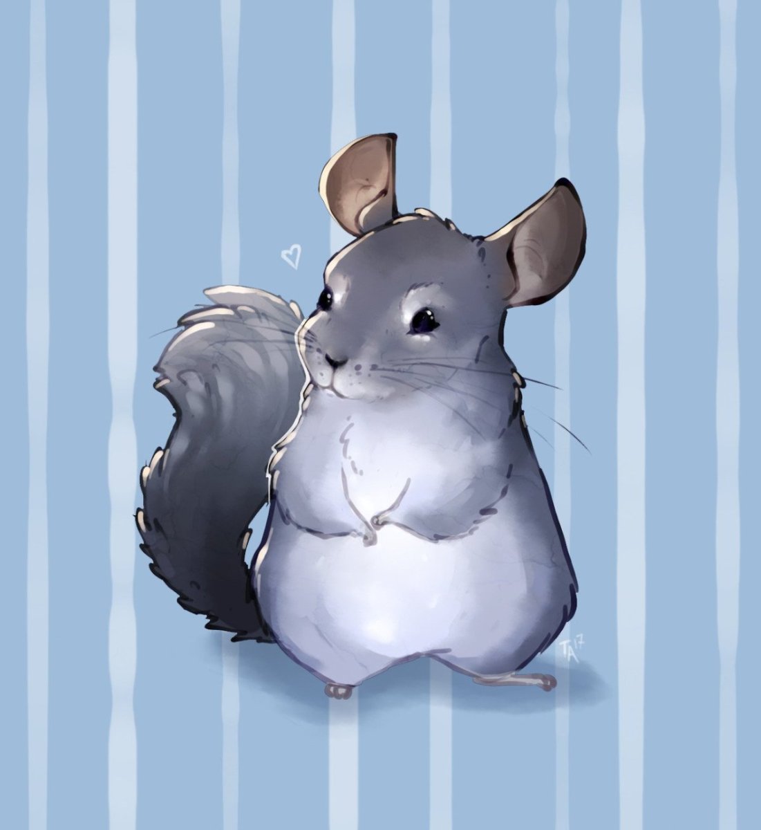 Австралийская шиншилла