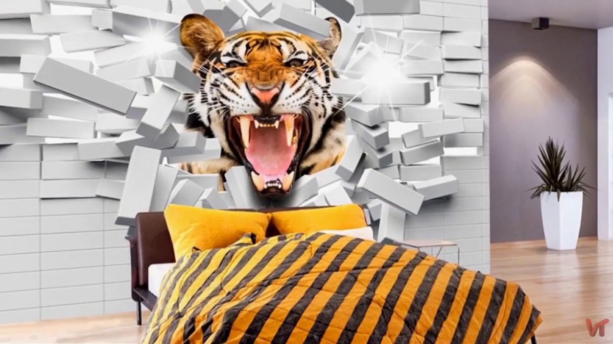 Большие кошки и коробки