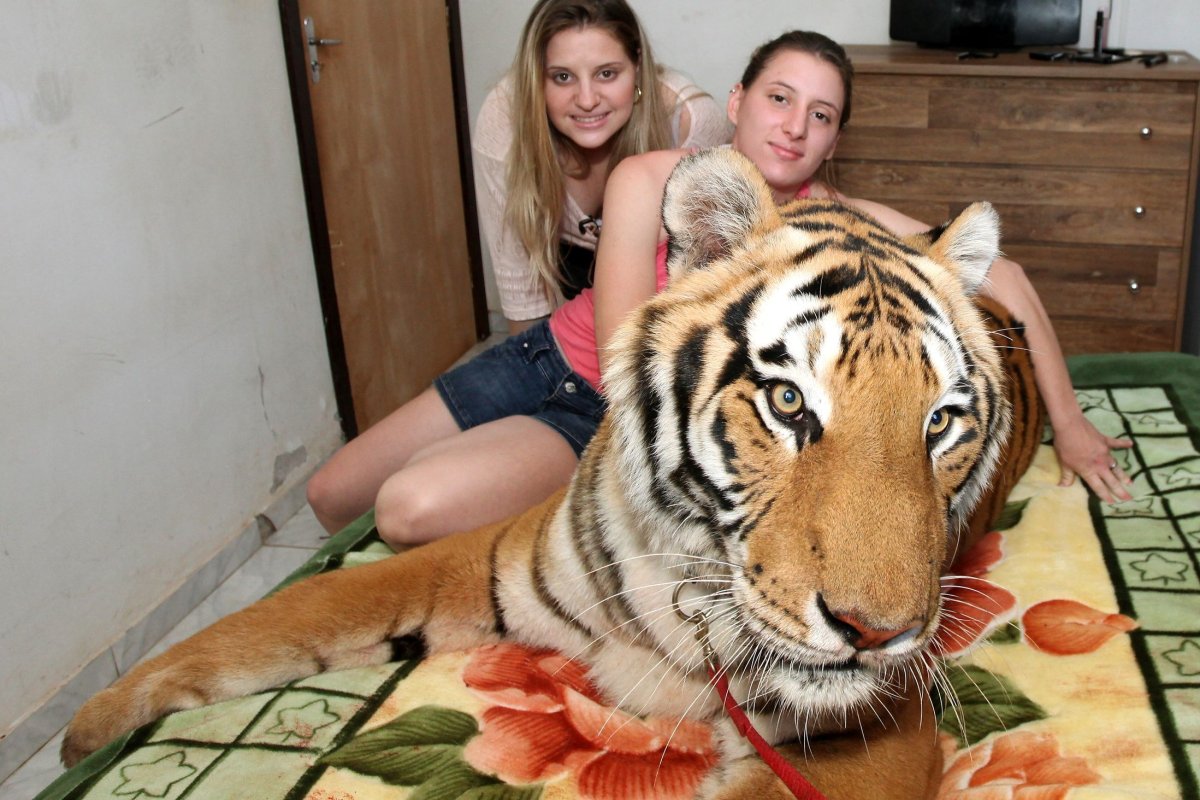 Табличка на дом с тигром