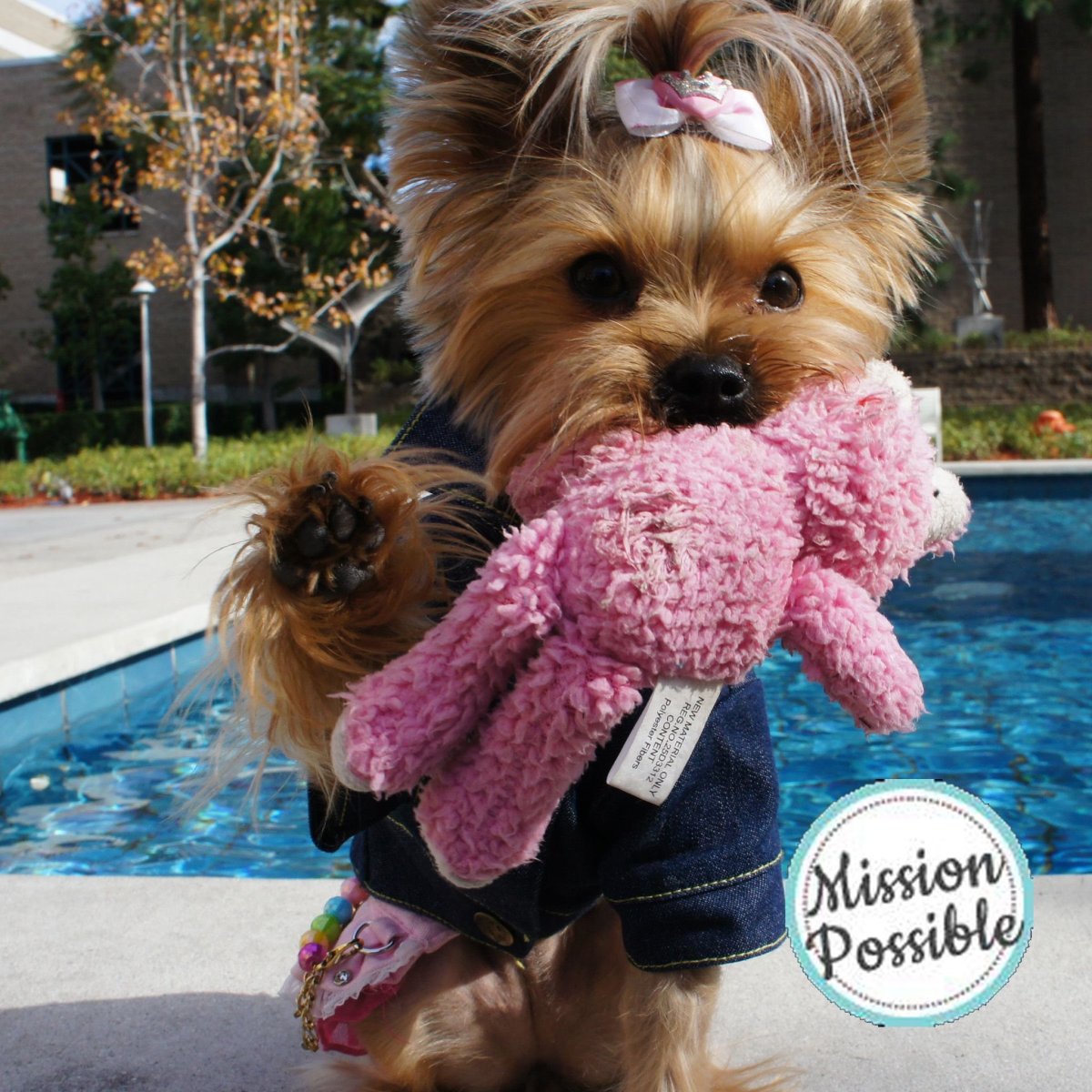 Клайдсдейл терьер