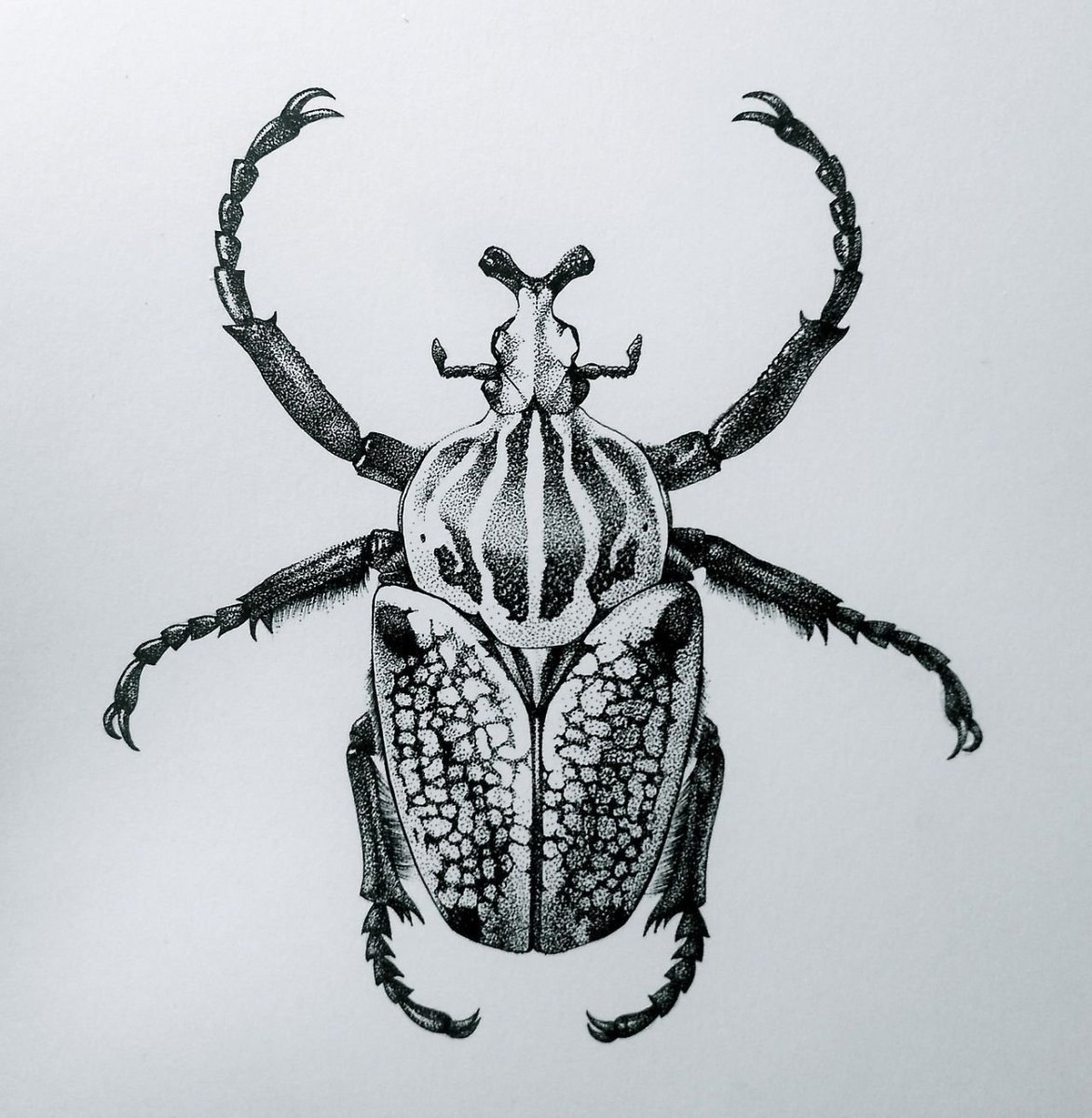 Стилизация жука